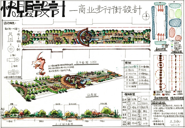 大禹手绘暑假集训